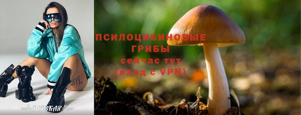ешки Наволоки