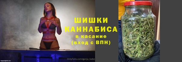 меф Каменск-Шахтинский