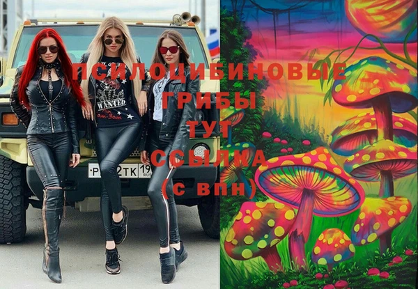 гидропоника Михайловка
