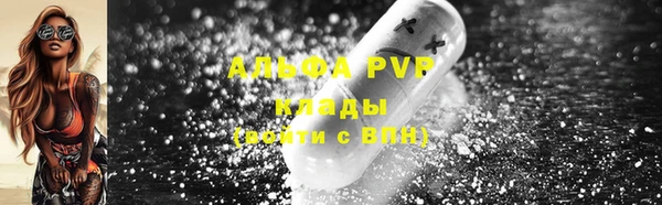 гидра Новодвинск